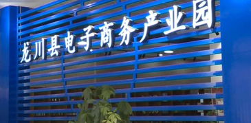 縣工信局主動(dòng)對接粵港澳大灣區(qū)，以產(chǎn)業(yè)共建與電商平臺開發(fā)助推縣域經(jīng)濟(jì)高質(zhì)量發(fā)展